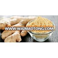 Zingiber officinale ginger powder